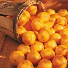 Business 4 image LOBLAWS Supermarkets in Toronto ON