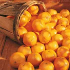 Business 1 image LOBLAWS Supermarkets in Kingston ON