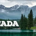 Business 11 image LOGO SOLUTIONS INC Shopping in Markham ON