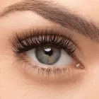 Entreprises 5 image LOMI LASHES Beauty & Health Spas dans Vancouver BC