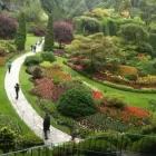 Business 2 image LOTUS LAND TOURS Travel Agents in Vancouver BC