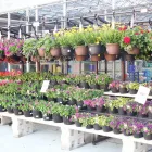 Entreprises 1 image LOWE'S HOME IMPROVEMENT Shopping dans Ottawa ON