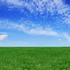 Entreprises 1 image LYON FLYNN & COLLINS Surveyors dans Vancouver BC