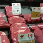 Business 1 image MA GLOBAL CORP Organic Foods in Brampton ON