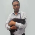 Entreprises 2 image MAILLARDVILLE ANIMAL HOSPITAL Veterinarians dans Coquitlam BC