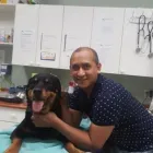 Entreprises 1 image MAILLARDVILLE ANIMAL HOSPITAL Veterinarians dans Coquitlam BC