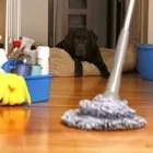 Business 4 image MAINLAND JANITORIAL SERVICES Cleaning Services in Coquitlam BC