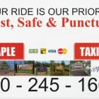 Entreprises 4 image MAPLE TAXI travel & tourism dans Edmonton AB