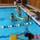Entreprises 4 image MARINA'S SWIM SCHOOL Education dans Richmond BC