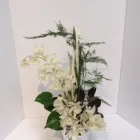 Entreprises 5 image MAYFIELD FLOWERS Shopping dans Edmonton AB