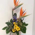Entreprises 1 image MAYFIELD FLOWERS Shopping dans Edmonton AB
