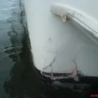 Entreprises 15 image MG MARINE Industries & Agriculture dans Pointe-aux-trembles QC