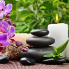 Business 2 image MIA WELLNESS SPA Health & Wellness Centres in Etobicoke ON