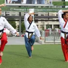 Business 3 image MISSISSAUGA TAEKWONDO Sports & Recreation in Mississauga ON