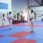 Business 6 image MISSISSAUGA TAEKWONDO Sports & Recreation in Mississauga ON