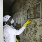 Entreprises 1 image MOLD REMEDIATION EXPERTS Fire & Water Damage Restoration Services dans Edmonton AB
