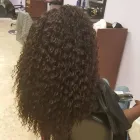 Business 1 image MONIQUE HAIR DESIGN Hair Salons in Scarborough ON