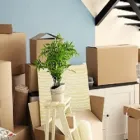Entreprises 3 image MOVERS SCARBOROUGH Moving & Relocation Services dans Scarborough ON