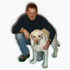 Entreprises 1 image MR FREEZE MOBILE AUTOMOTIVE A/C REPAIR & AUTO SALES Used Car Dealers dans London ON