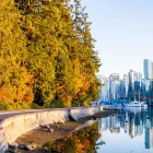 Business 3 image MSK HEALTH AND PERFORMANCE CLINIC Health & Medicine in Vancouver BC