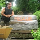Business 9 image MY HEALTHY LAWN .CA Real Estate & Home Improvement in Mississauga ON