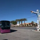 Entreprises 7 image NAGEL COACHES LTD travel & tourism dans Edmonton AB