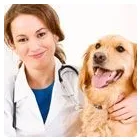 Entreprises 3 image NAPA VALLEY ANIMAL HOSPITAL Veterinarians dans Woodbridge ON
