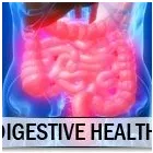 Business 16 image NARDINI NATUROPATHIC Naturopaths in Toronto ON