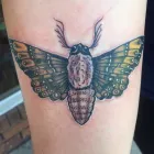 Entreprises 4 image NEON CRAB TATTOOS & PIERCING Tattoos & Body Piercing dans Stoney Creek ON