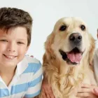 Entreprises 7 image NO 2 RD ANIMAL HOSPITAL Veterinarians dans Richmond BC