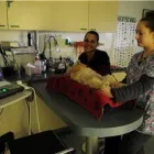 Entreprises 4 image NORTH ROAD ANIMAL HOSPITAL Veterinarians dans Coquitlam BC