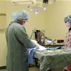 Entreprises 2 image NORTH ROAD ANIMAL HOSPITAL Veterinarians dans Coquitlam BC