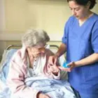 Entreprises 3 image NOW WORK FORCE INC Employment & Recruitment Agencies dans North York ON