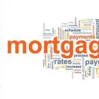 Business 5 image ONLY4AGENTS Web Design & Development in Brampton ON