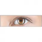 Business 3 image OPTOMETRISTS CLINIC INC Ophthalmologists, Optometrists & Opticians in Edmonton AB