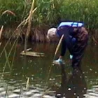 Business 10 image OSHTECH INC Environmental & Ecological Services in Etobicoke ON