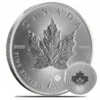 Business 5 image OTTAWA BULLION Business & Professional Services in Ottawa ON