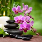 Business 4 image OVERPROOF FOOT LOUNGE Nail Salons & Technicians in Edmonton AB