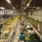 Entreprises 4 image PACLINE CORPORATION Industries & Agriculture dans Mississauga ON
