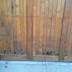 Business 10 image PAINTING EXPERTS INC Real Estate & Home Improvement in Red Deer AB