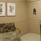 Entreprises 1 image PARK PET HOSPITAL Veterinarians dans Lethbridge AB