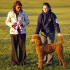 Entreprises 2 image PAW4MANCE PET PRODUCTS Shopping dans Vaughan ON