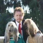 Business 1 image PAZDER LAW CORPORATION Real Estate Lawyers in Vancouver BC