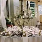 Business 2 image PEDERSEN'S RENTALS LTD Shopping in Vancouver BC