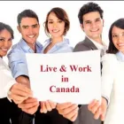 Business 9 image PERFORMANCE IMMIGRATION CANADA Legal & Financial Services in Etobicoke ON