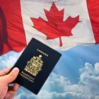 Business 2 image PERFORMANCE IMMIGRATION CANADA Legal & Financial Services in Etobicoke ON