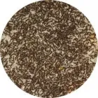 Entreprises 5 image PEST CONTROL OAKVILLE Pest Control Equipment & Supplies dans Oakville ON