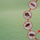 Entreprises 7 image PEST CONTROL OAKVILLE Pest Control Equipment & Supplies dans Oakville ON