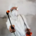 Business 4 image PEST DETECTIVE - PORT MOODY Pest & Vermin Control in Port Moody BC