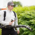 Business 2 image PESTEND PEST CONTROL OTTAWA Pest Control in Ottawa ON